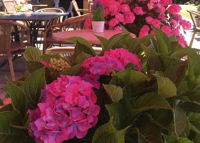 Boerderijcamping Plantlust