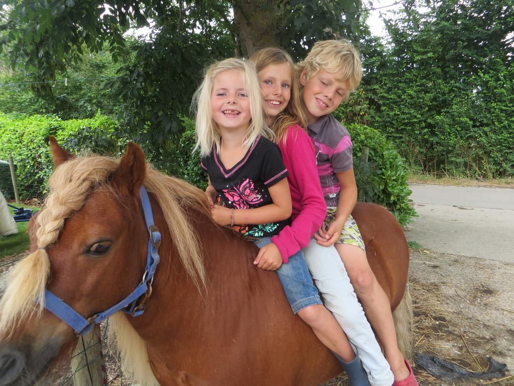 Chalet Boerderijcamping Plantlust