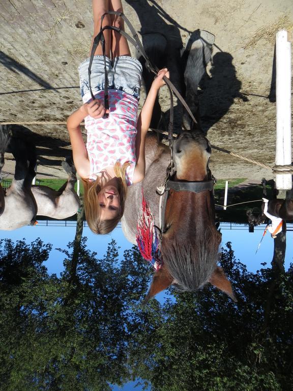 Boerderijcamping Plantlust